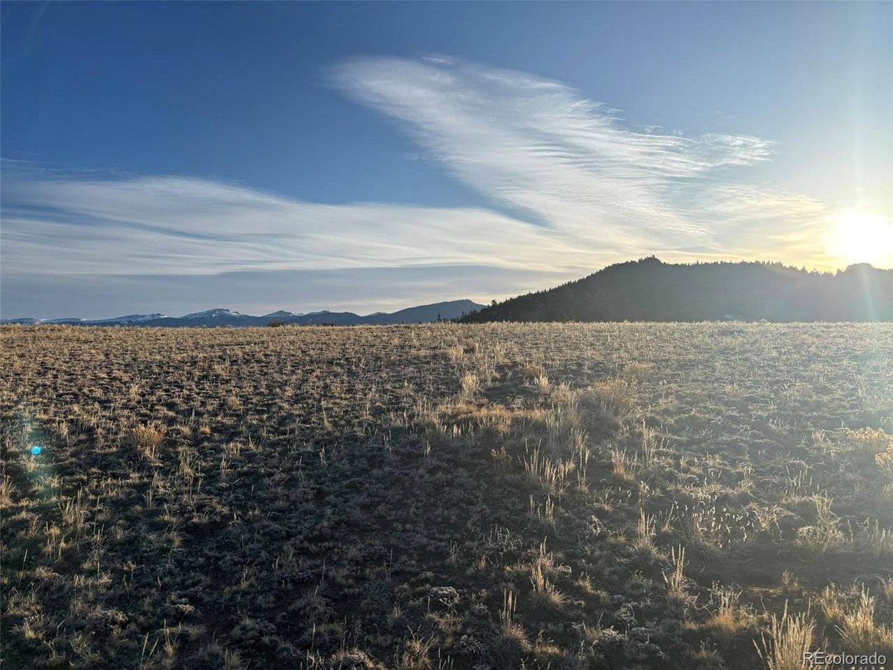 1290 Lippzana, Como, CO 80432