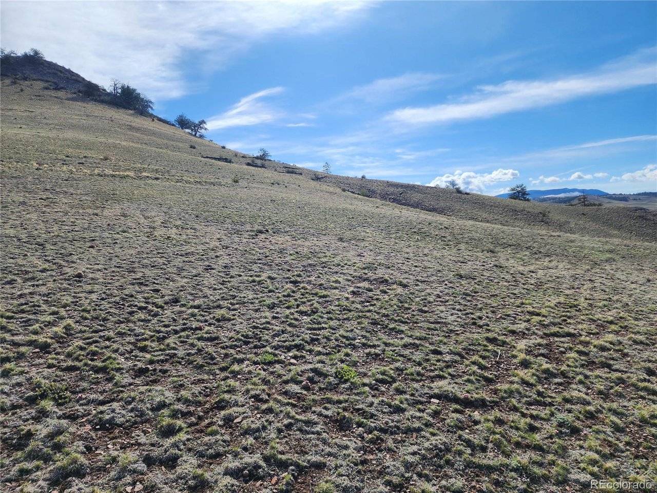 558 Chickadee, Hartsel, CO 80449
