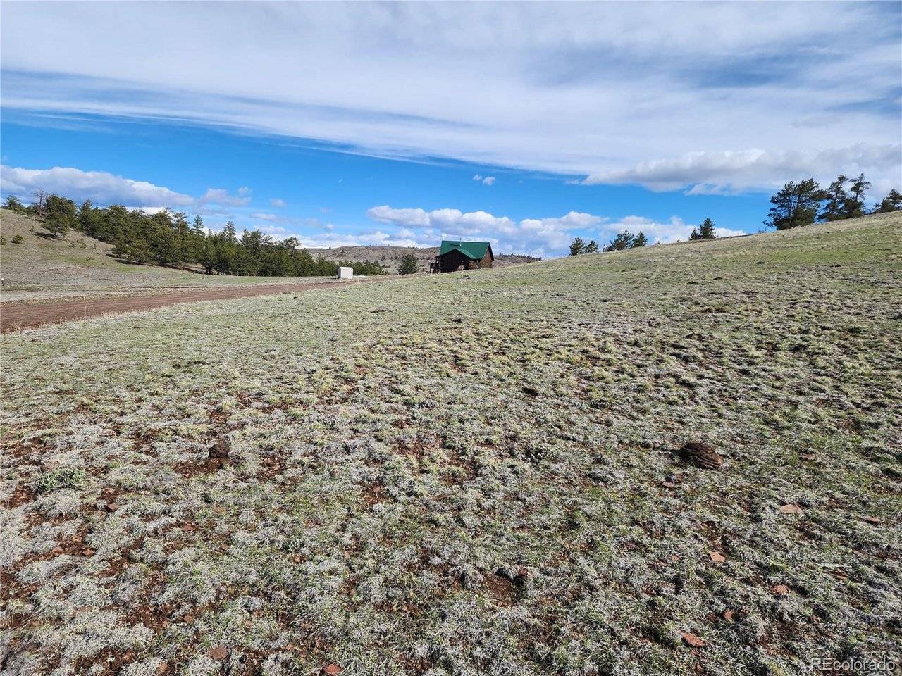 558 Chickadee, Hartsel, CO 80449