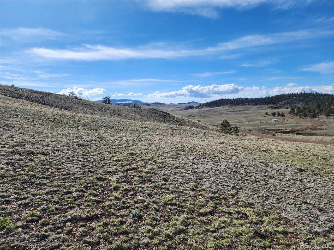 558 Chickadee, Hartsel, CO 80449