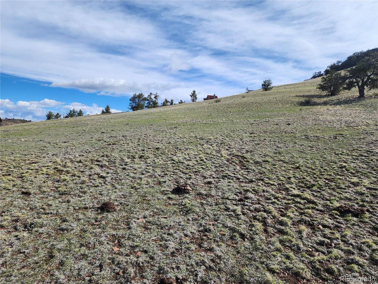 558 Chickadee, Hartsel, CO 80449