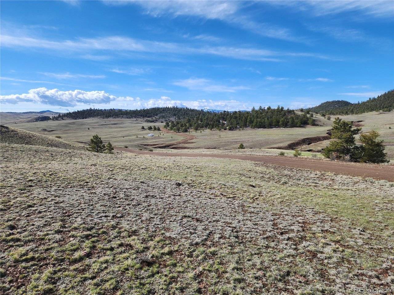 558 Chickadee, Hartsel, CO 80449