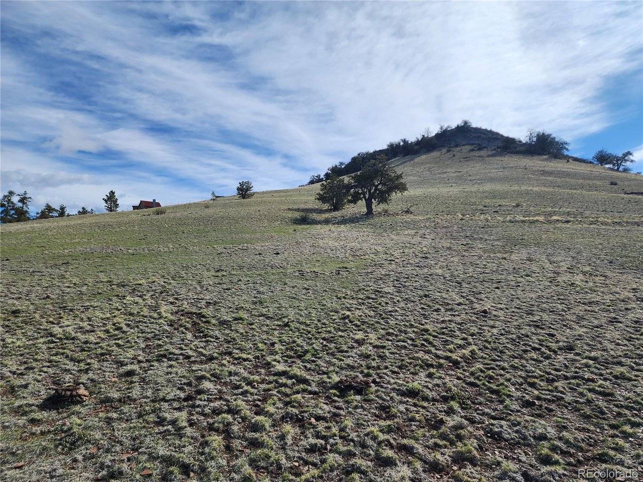 558 Chickadee, Hartsel, CO 80449