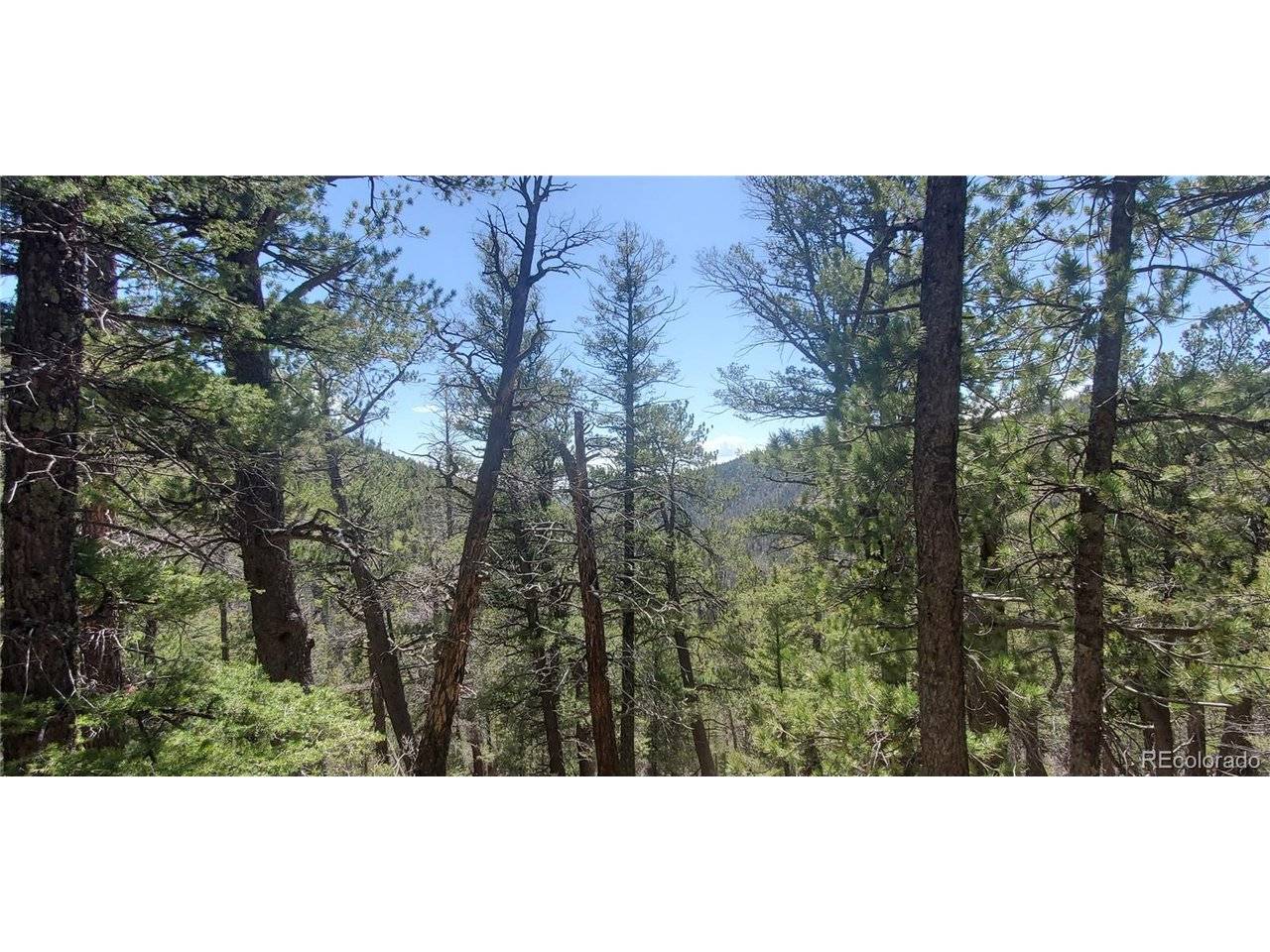 Address not disclosed, Fort Garland, CO 81133