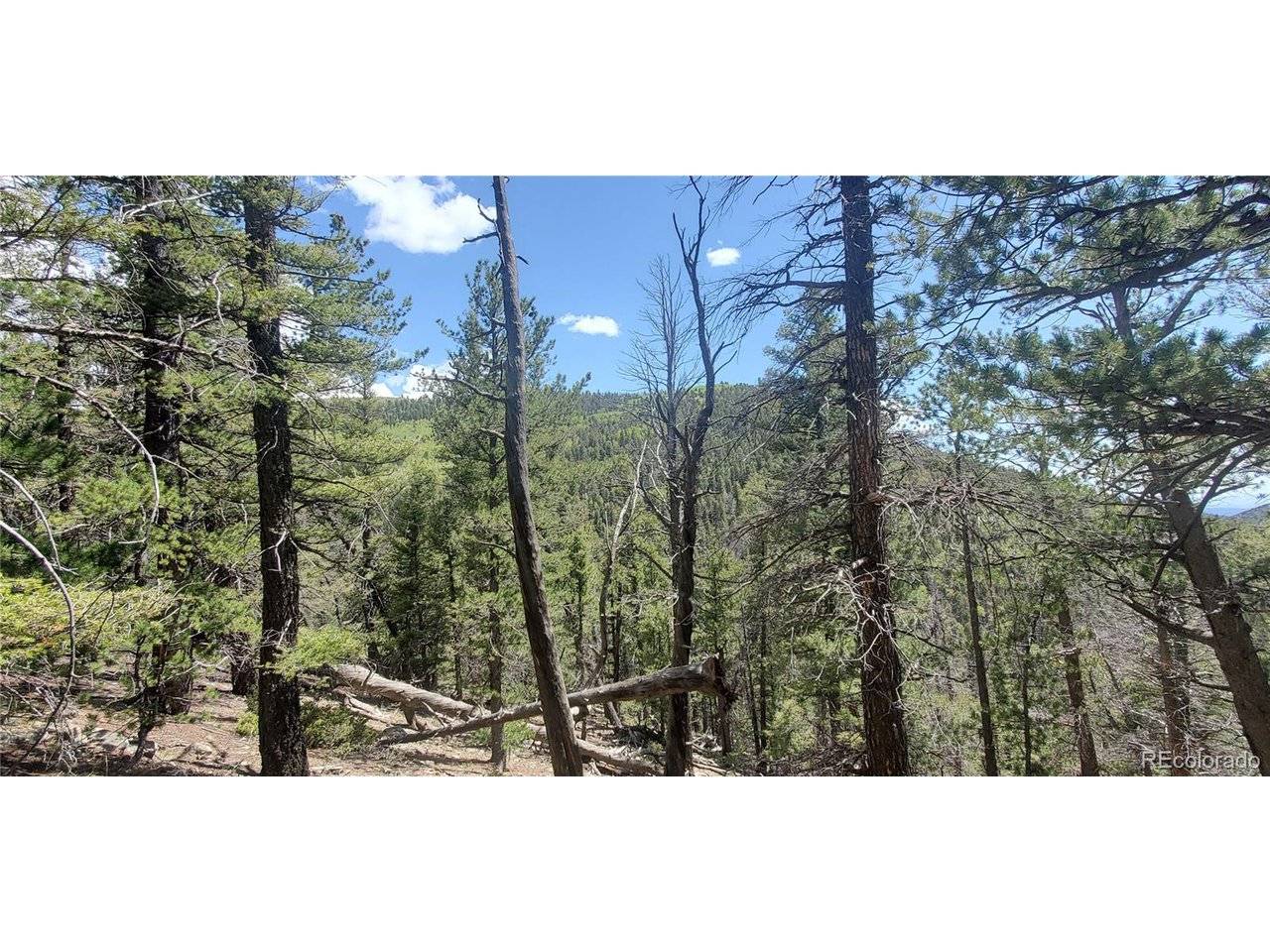 Address not disclosed, Fort Garland, CO 81133