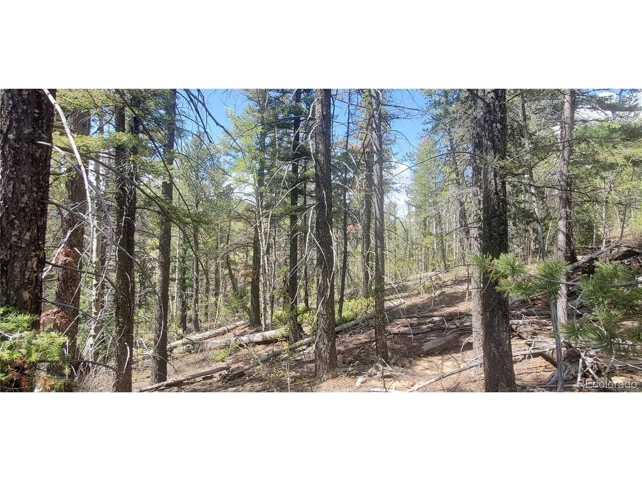 Address not disclosed, Fort Garland, CO 81133