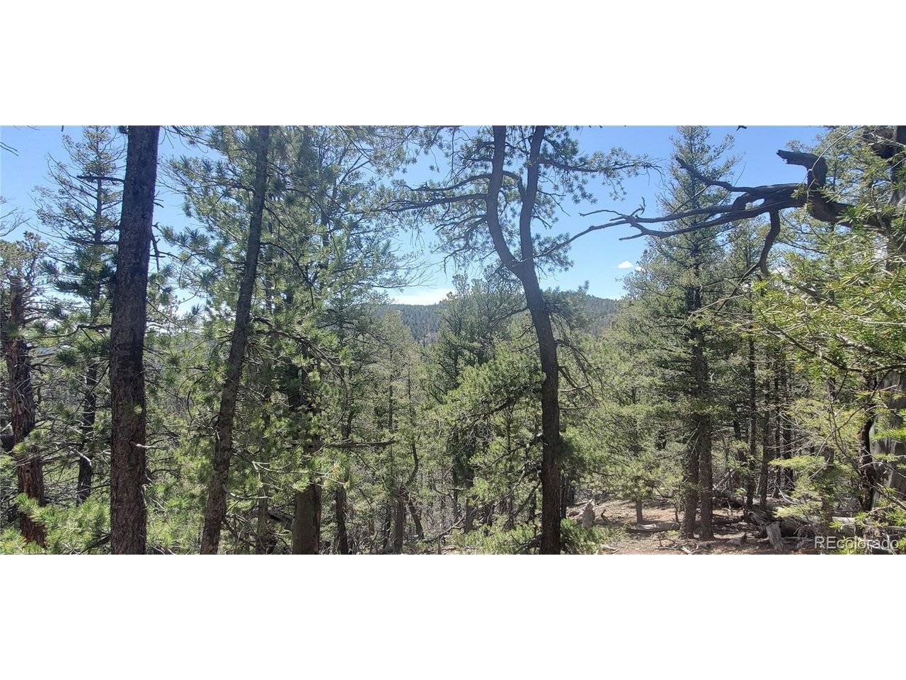 Address not disclosed, Fort Garland, CO 81133
