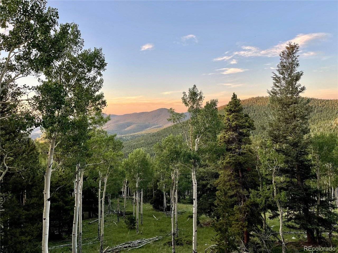 3665 Beaver Brook Canyon, Evergreen, CO 80439