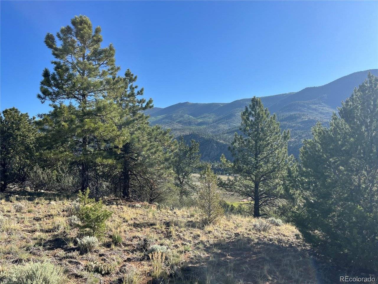 18322 S Lake, Buena Vista, CO 81211