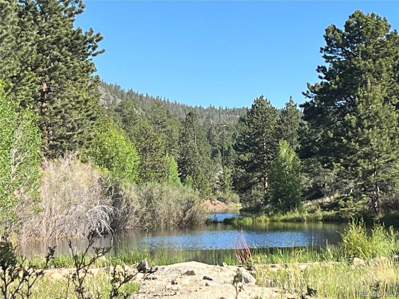 18322 S Lake, Buena Vista, CO 81211