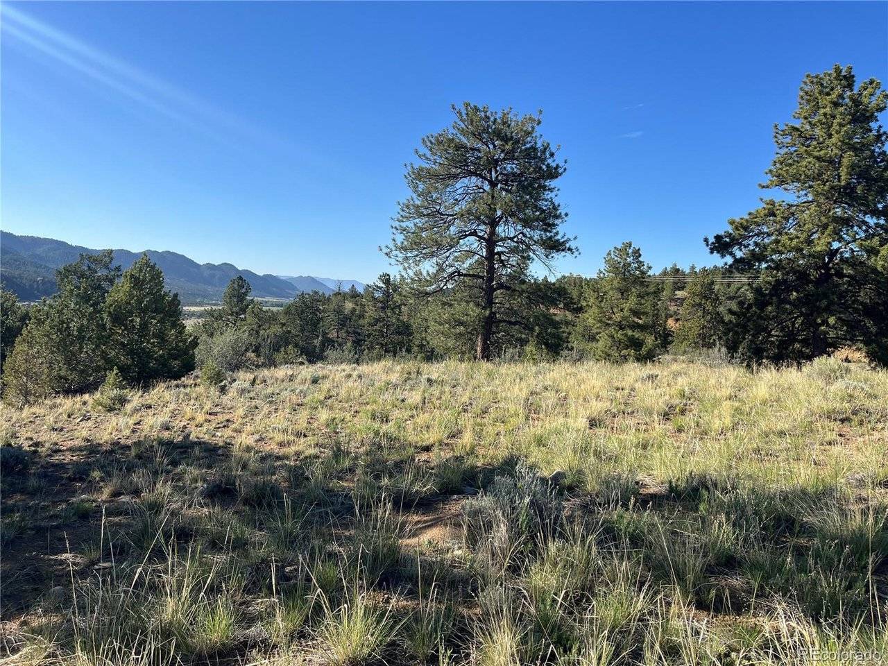 18322 S Lake, Buena Vista, CO 81211