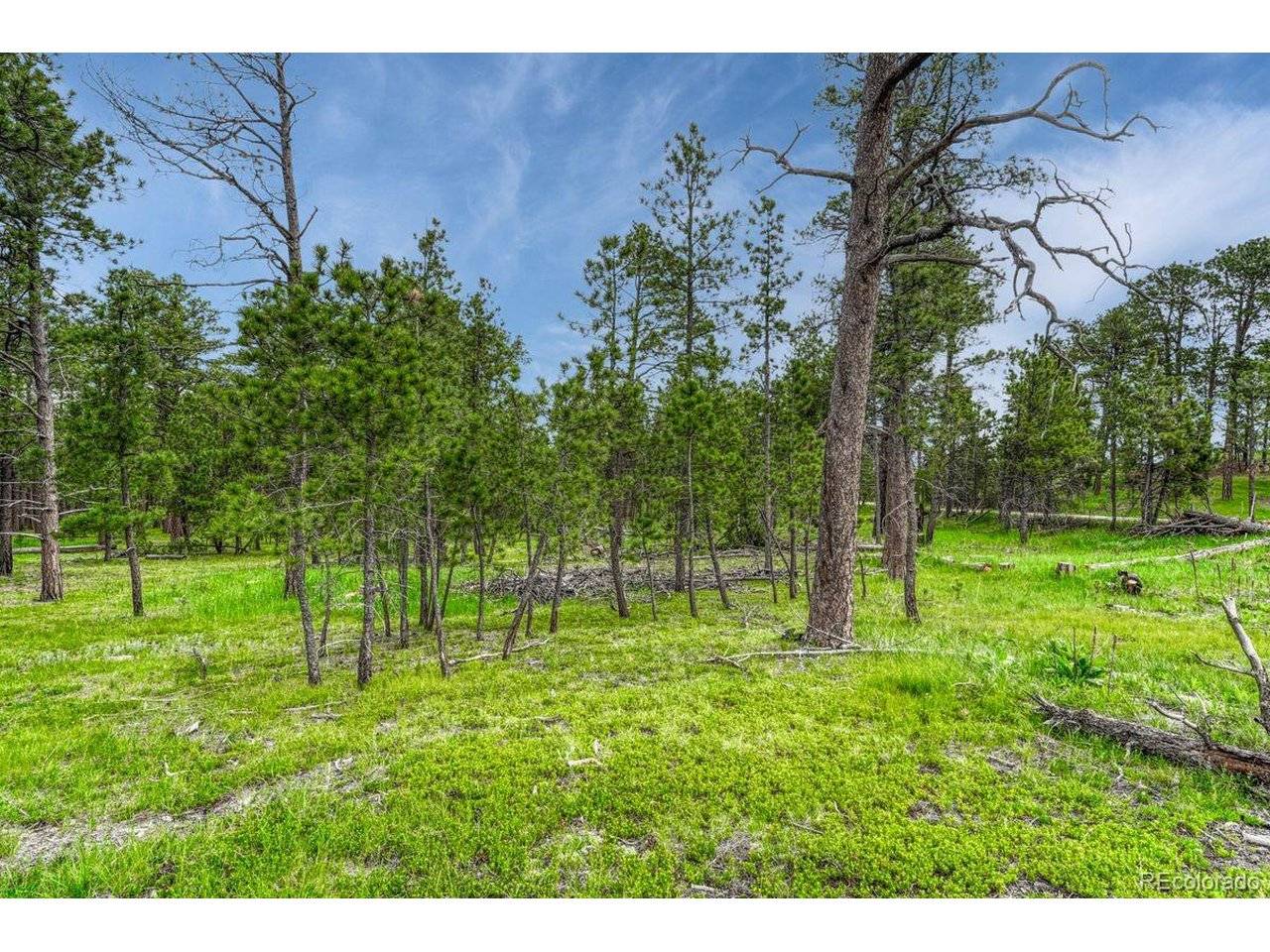 0 Wyandott, Colorado Springs, CO 80908