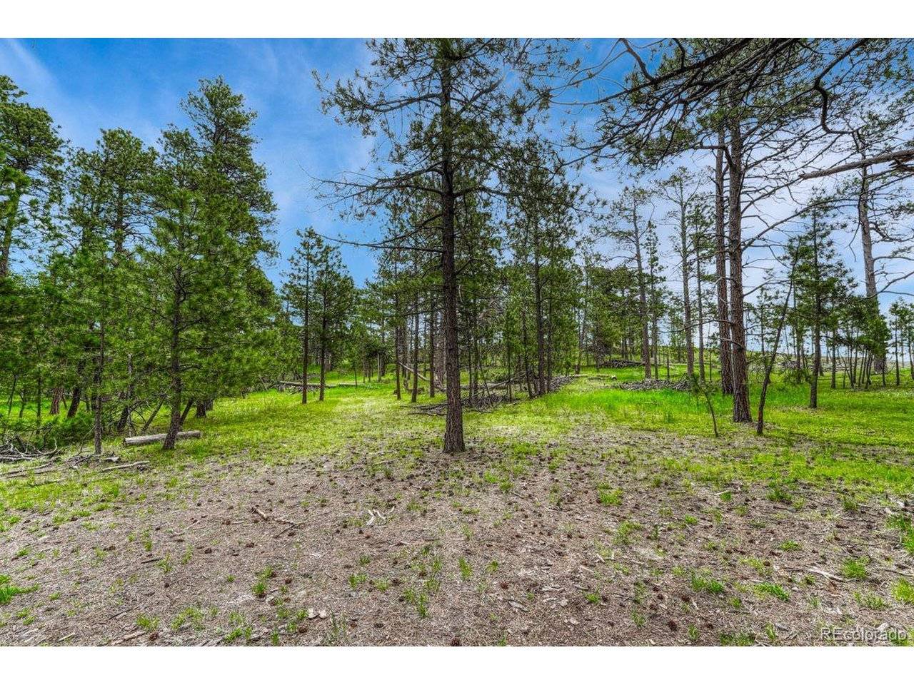 0 Wyandott, Colorado Springs, CO 80908