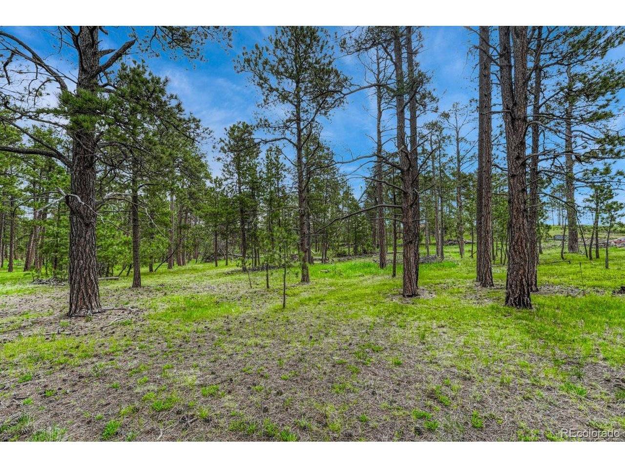 0 Wyandott, Colorado Springs, CO 80908