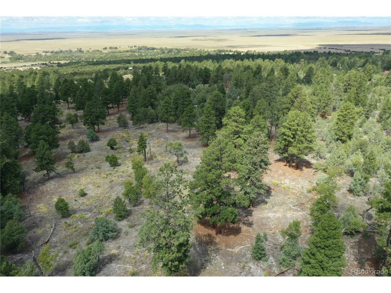 Costilla, Mosca, CO 81146