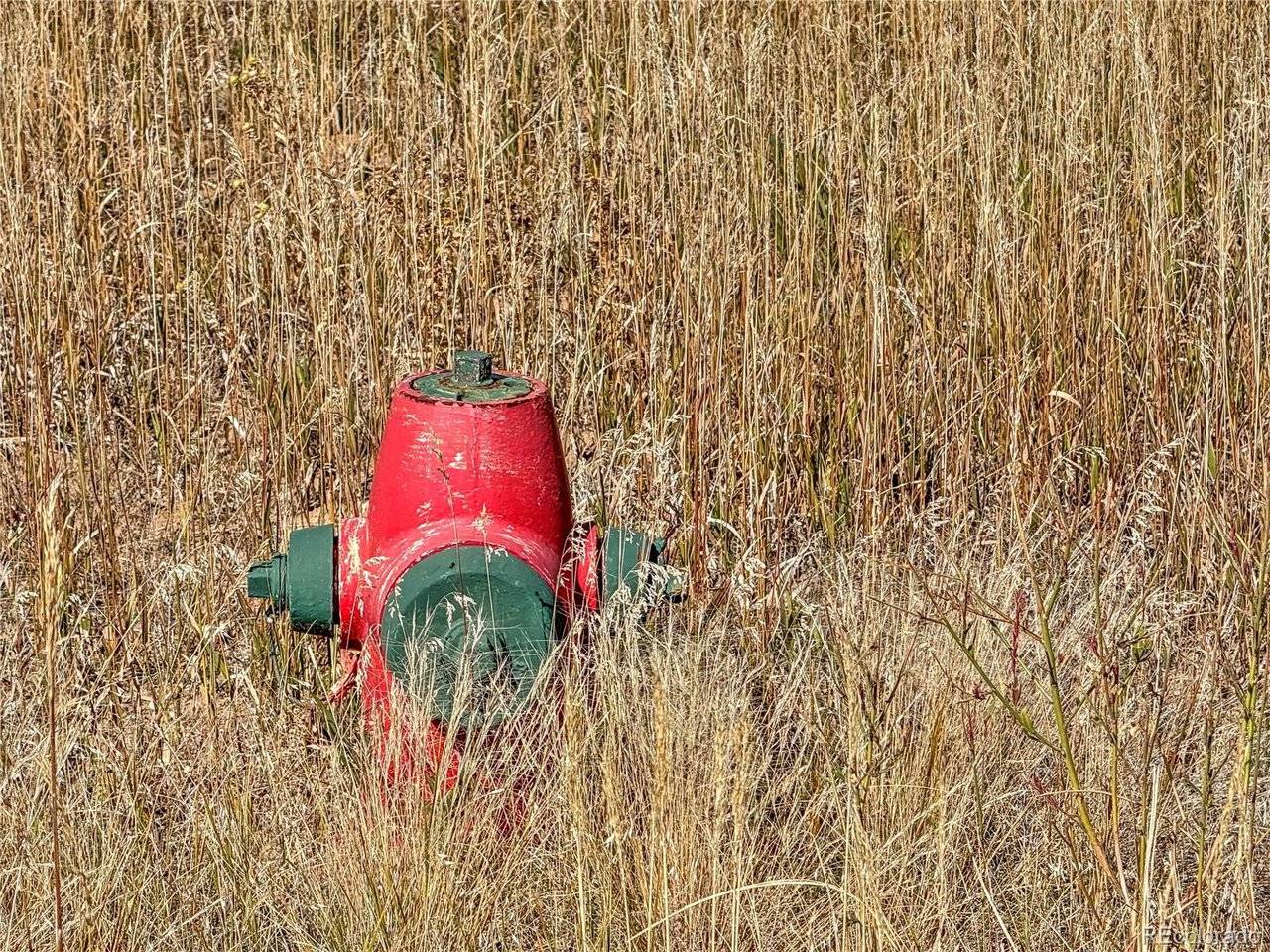 Walsen, Colorado City, CO 81019