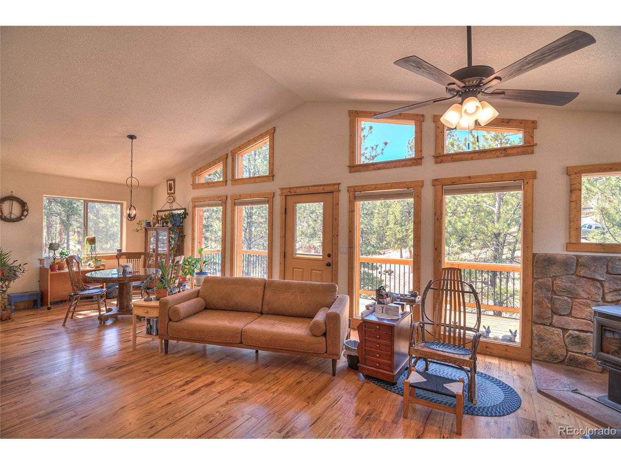 11845 S Stallion, Pine, CO 80470