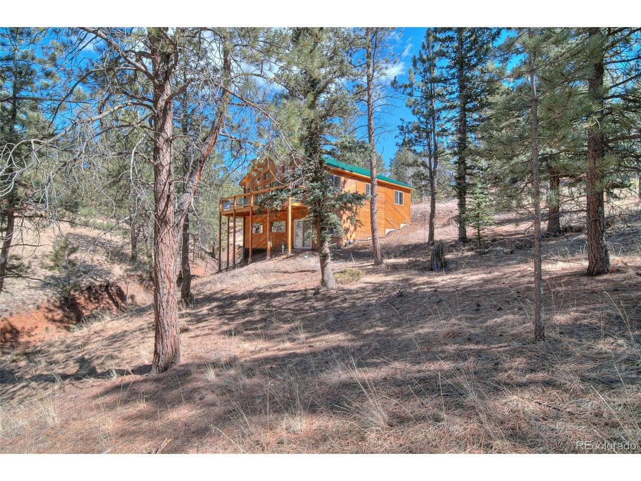 11845 S Stallion, Pine, CO 80470