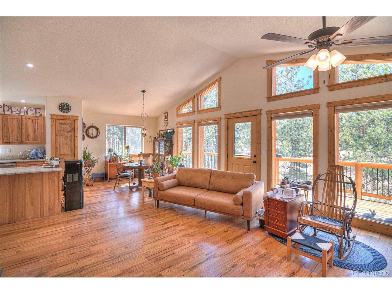 11845 S Stallion, Pine, CO 80470
