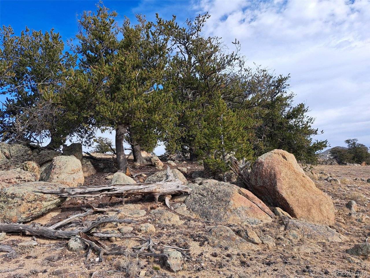 1282 Ute, Hartsel, CO 80449