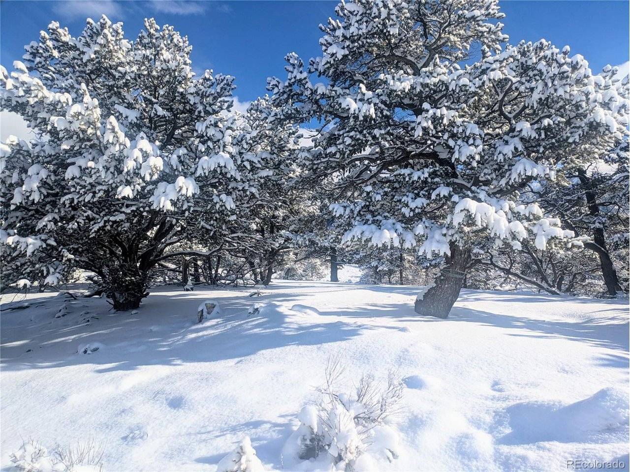 1946 Lone Pine, Crestone, CO 81131