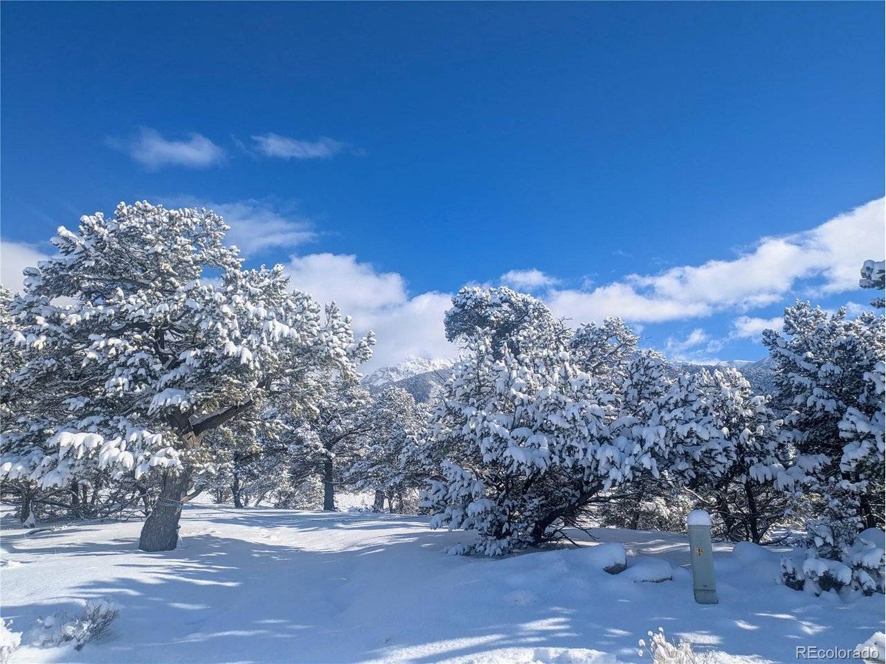 1946 Lone Pine, Crestone, CO 81131