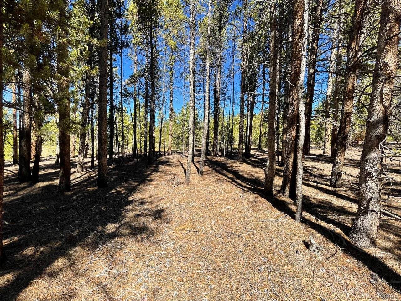 451 Virginia, Leadville, CO 80461