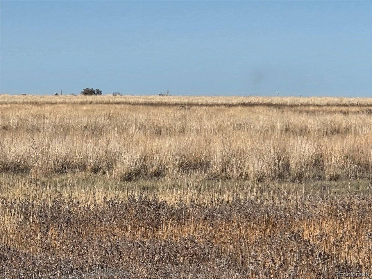 Address not disclosed, Avondale, CO 81022