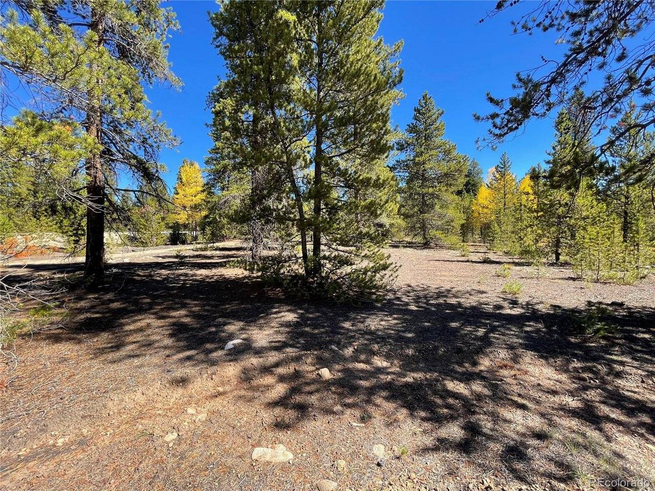 500 Virginia, Leadville, CO 80461