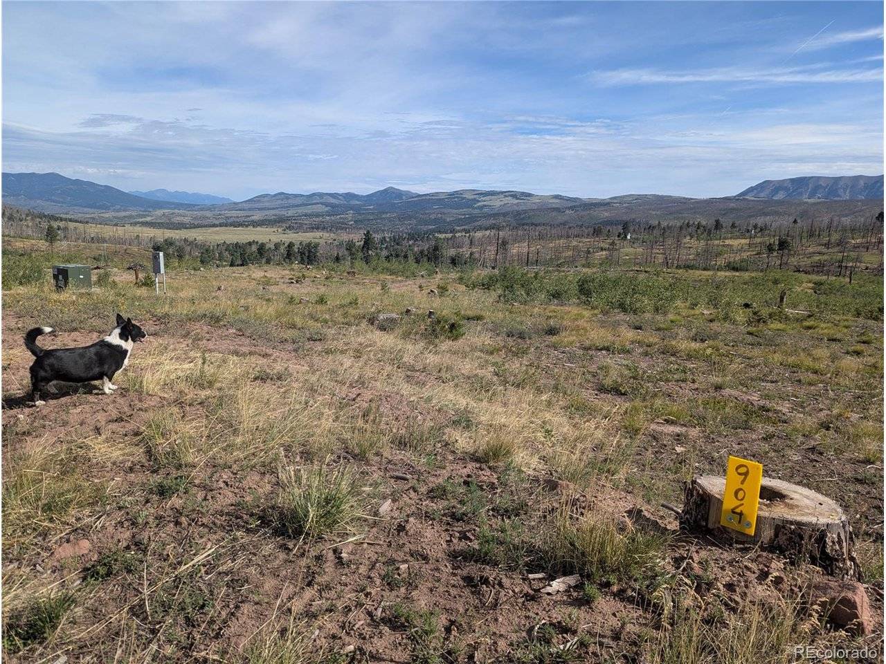 904 Ueda, Fort Garland, CO 81133