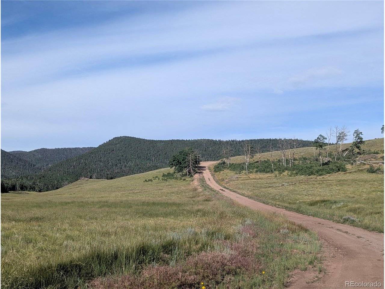 904 Ueda, Fort Garland, CO 81133