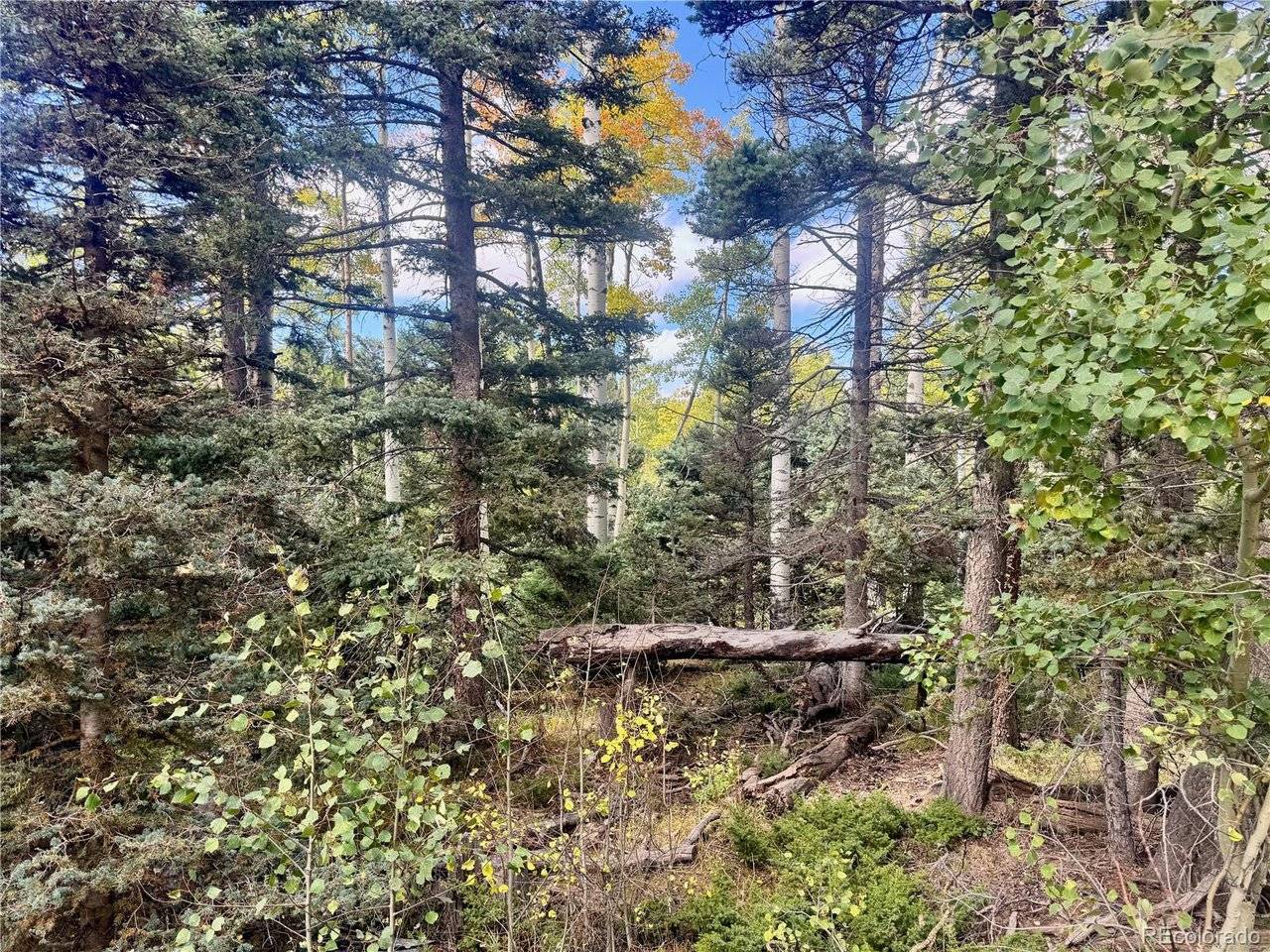 2843 Wendt, Fort Garland, CO 81133