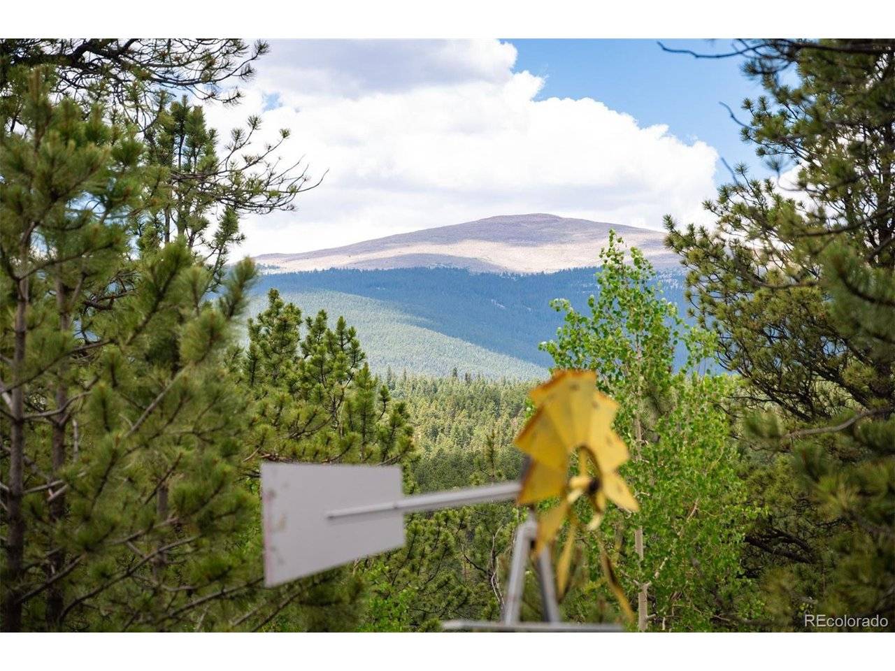 21 Crystal Rock, Bailey, CO 80421