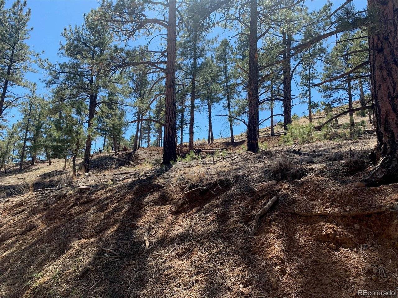 15421 Westcreek, Woodland Park, CO 80863
