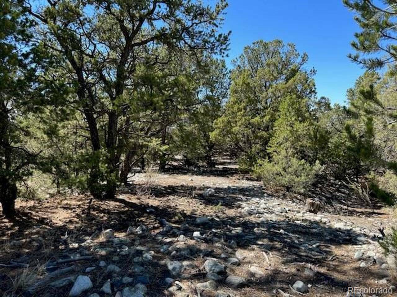 15 Mill Run, Mosca, CO 81146
