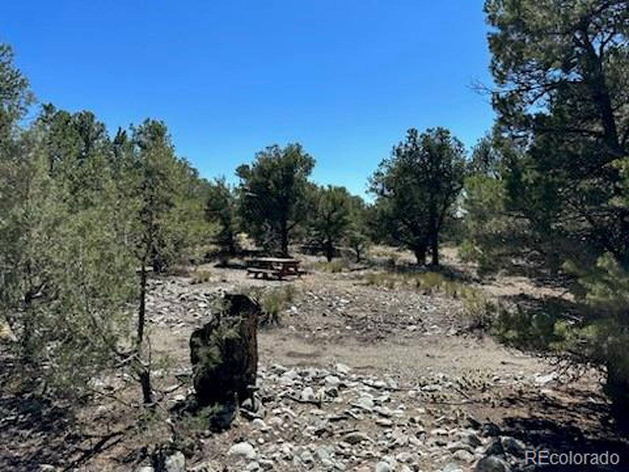 15 Mill Run, Mosca, CO 81146