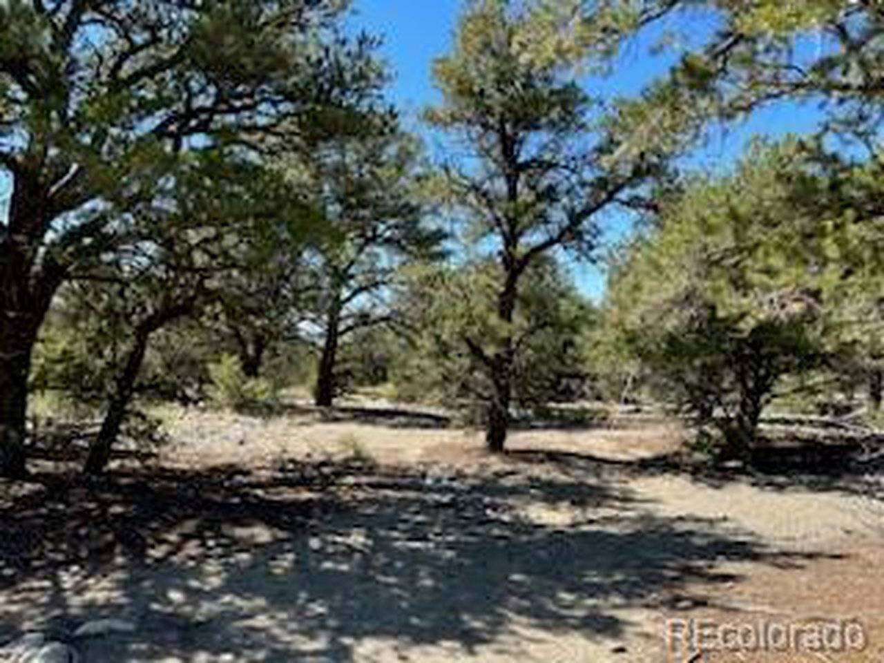 15 Mill Run, Mosca, CO 81146