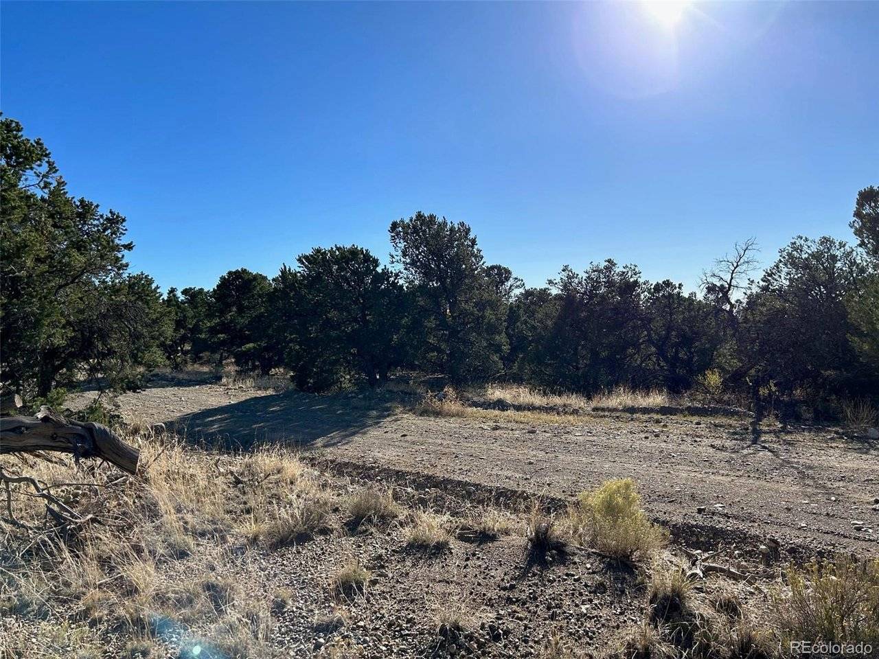 103 Indian Hill, Mosca, CO 81146