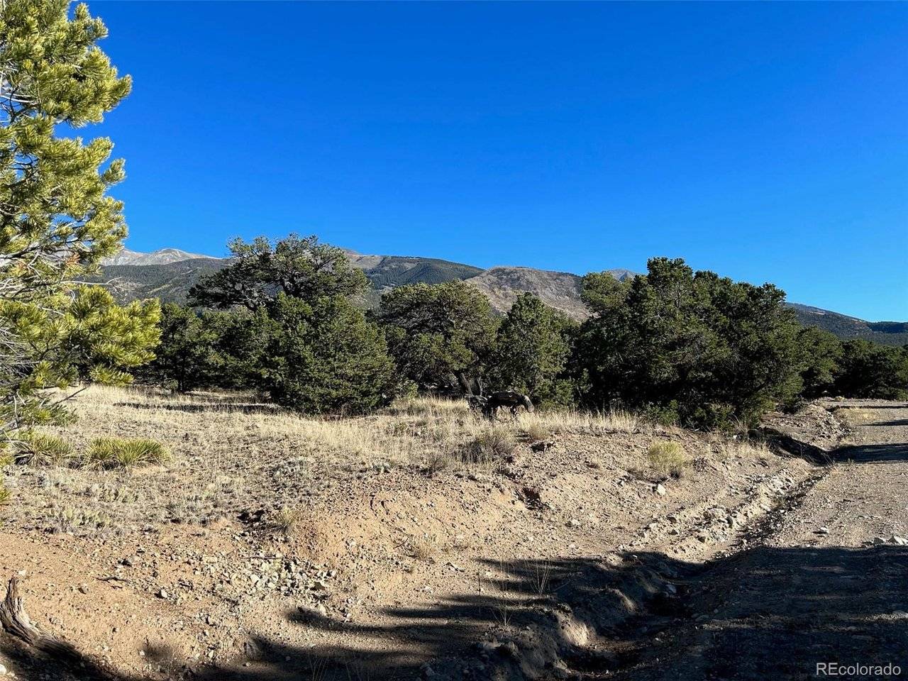 103 Indian Hill, Mosca, CO 81146
