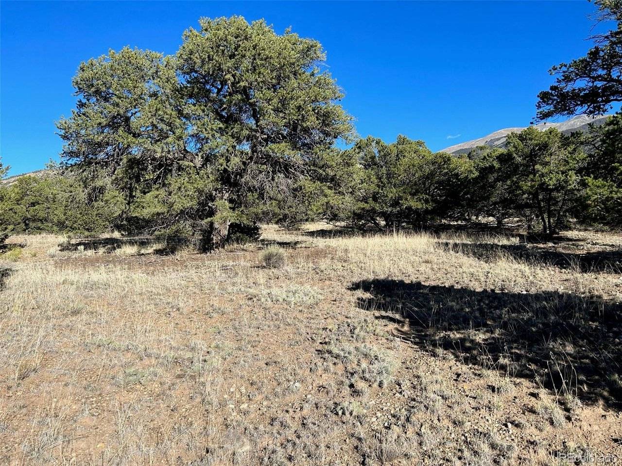 103 Indian Hill, Mosca, CO 81146
