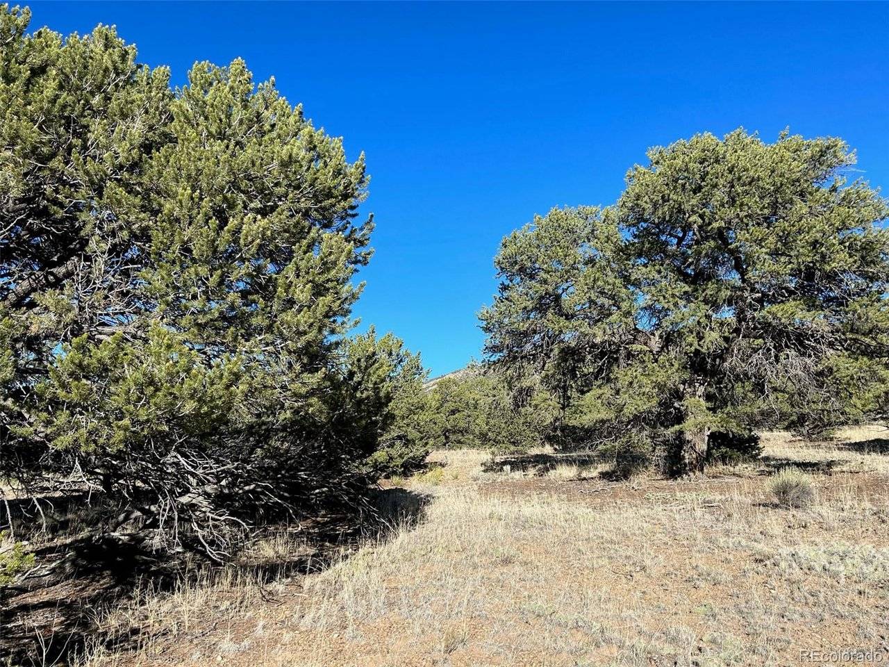 103 Indian Hill, Mosca, CO 81146