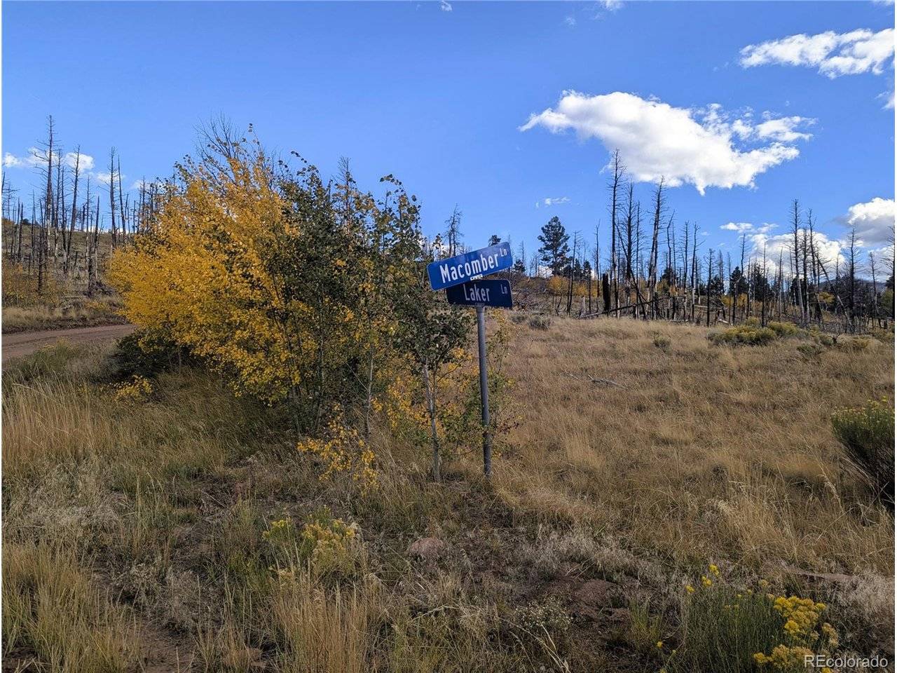 1129 Laker, Fort Garland, CO 81133