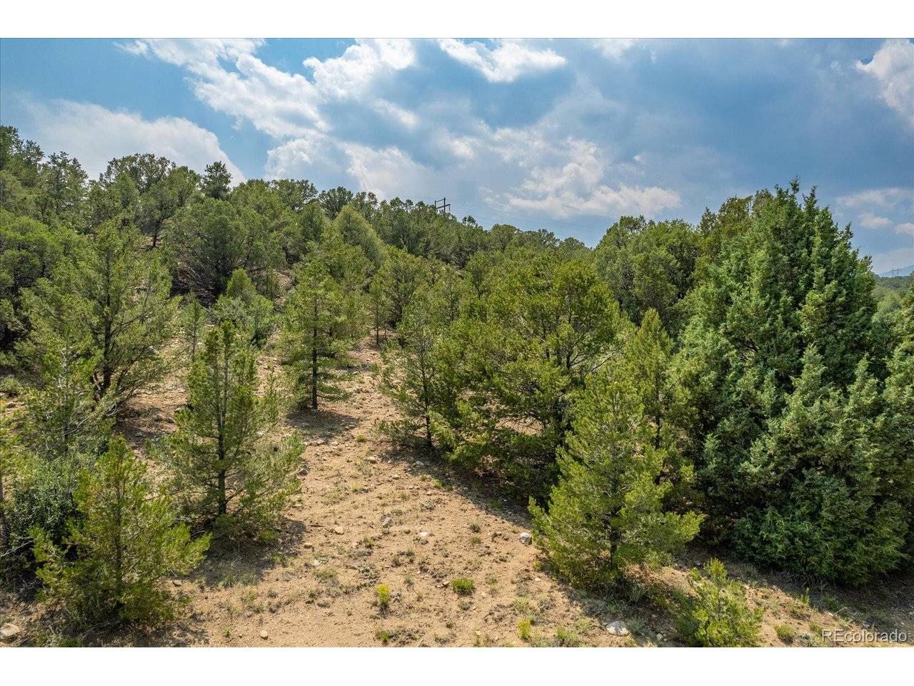 7925 Cozart, Salida, CO 81201