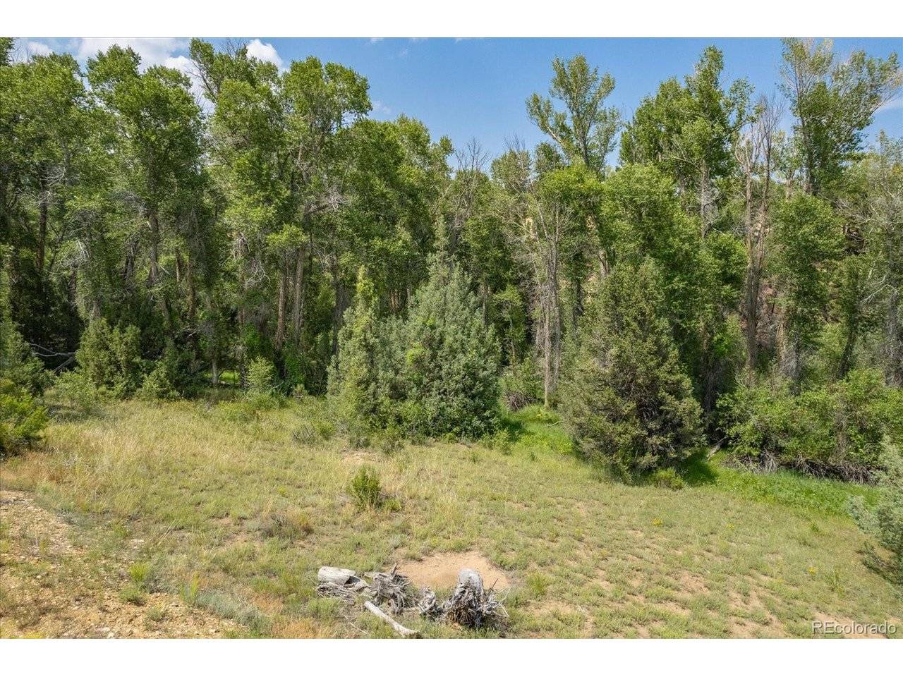 7925 Cozart, Salida, CO 81201
