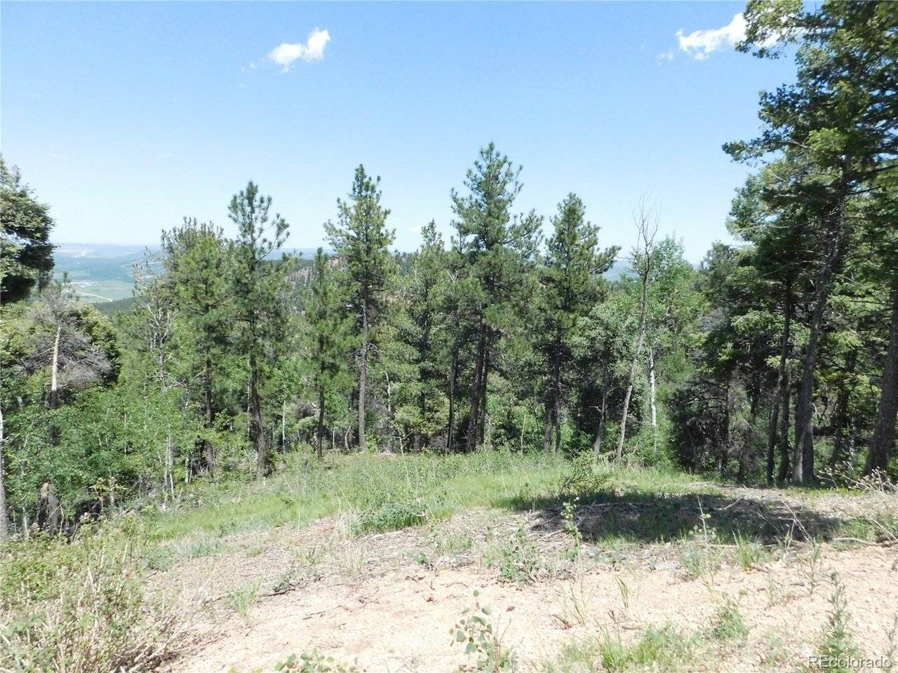 13670 Spruce Creek, Larkspur, CO 80118