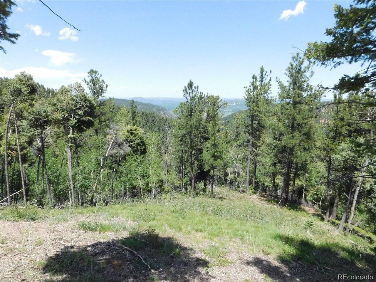 13670 Spruce Creek, Larkspur, CO 80118