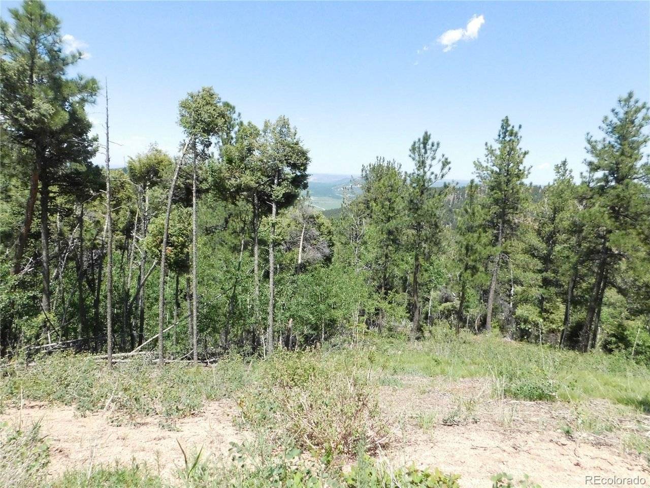 13670 Spruce Creek, Larkspur, CO 80118