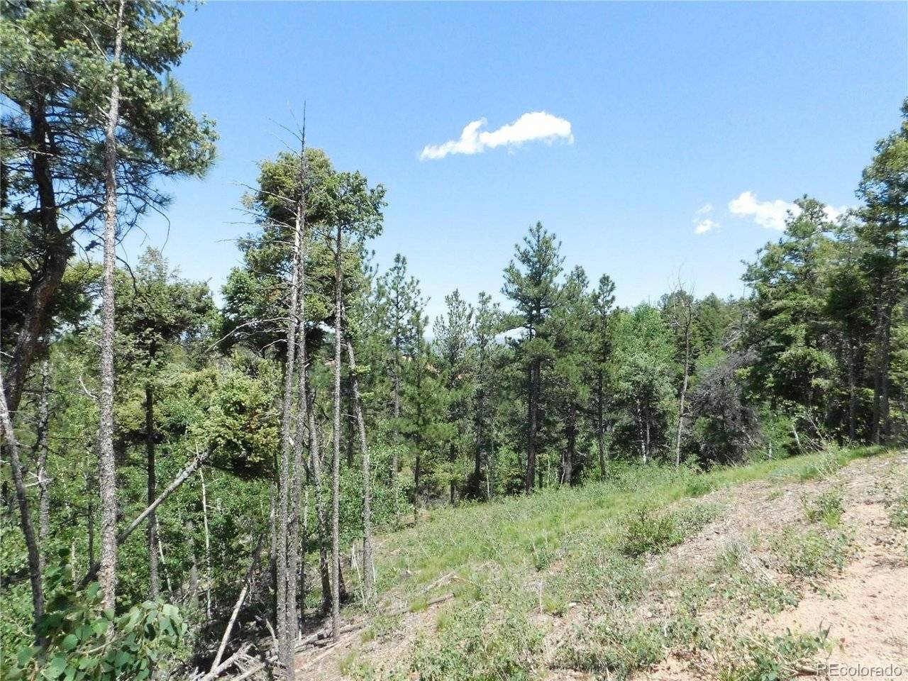 13670 Spruce Creek, Larkspur, CO 80118