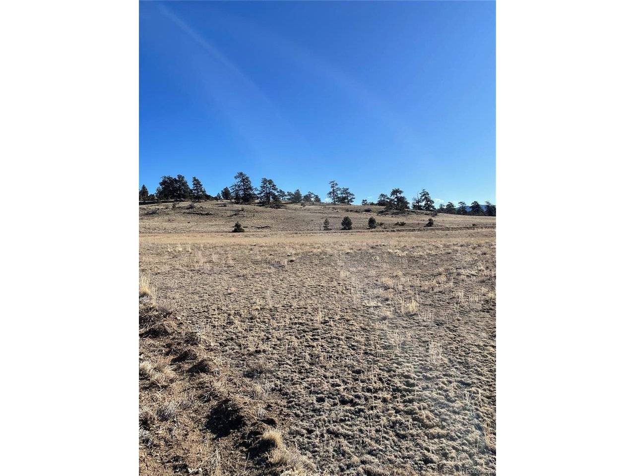 1260 Goldenburg Canyon, Hartsel, CO 80449