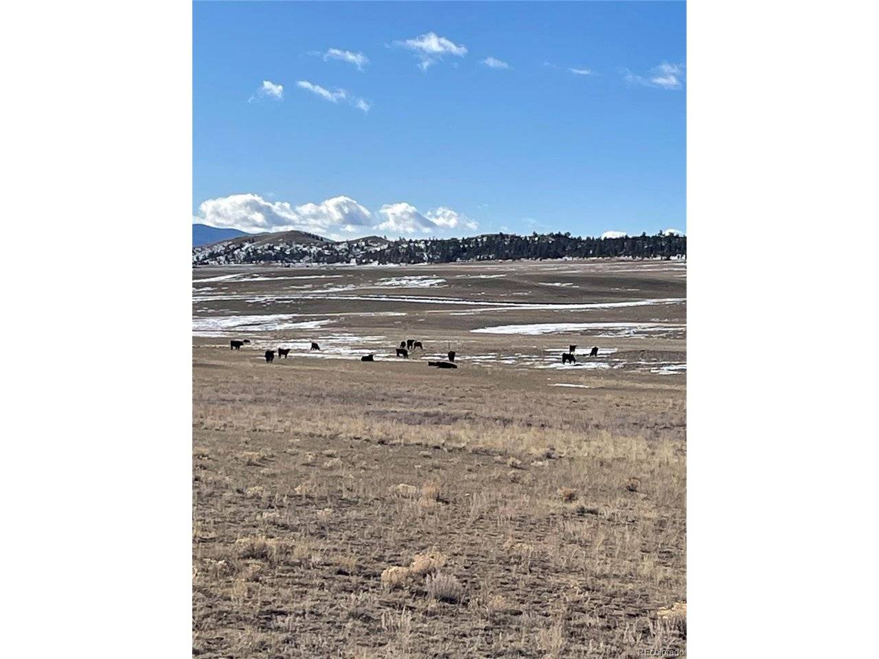 1260 Goldenburg Canyon, Hartsel, CO 80449